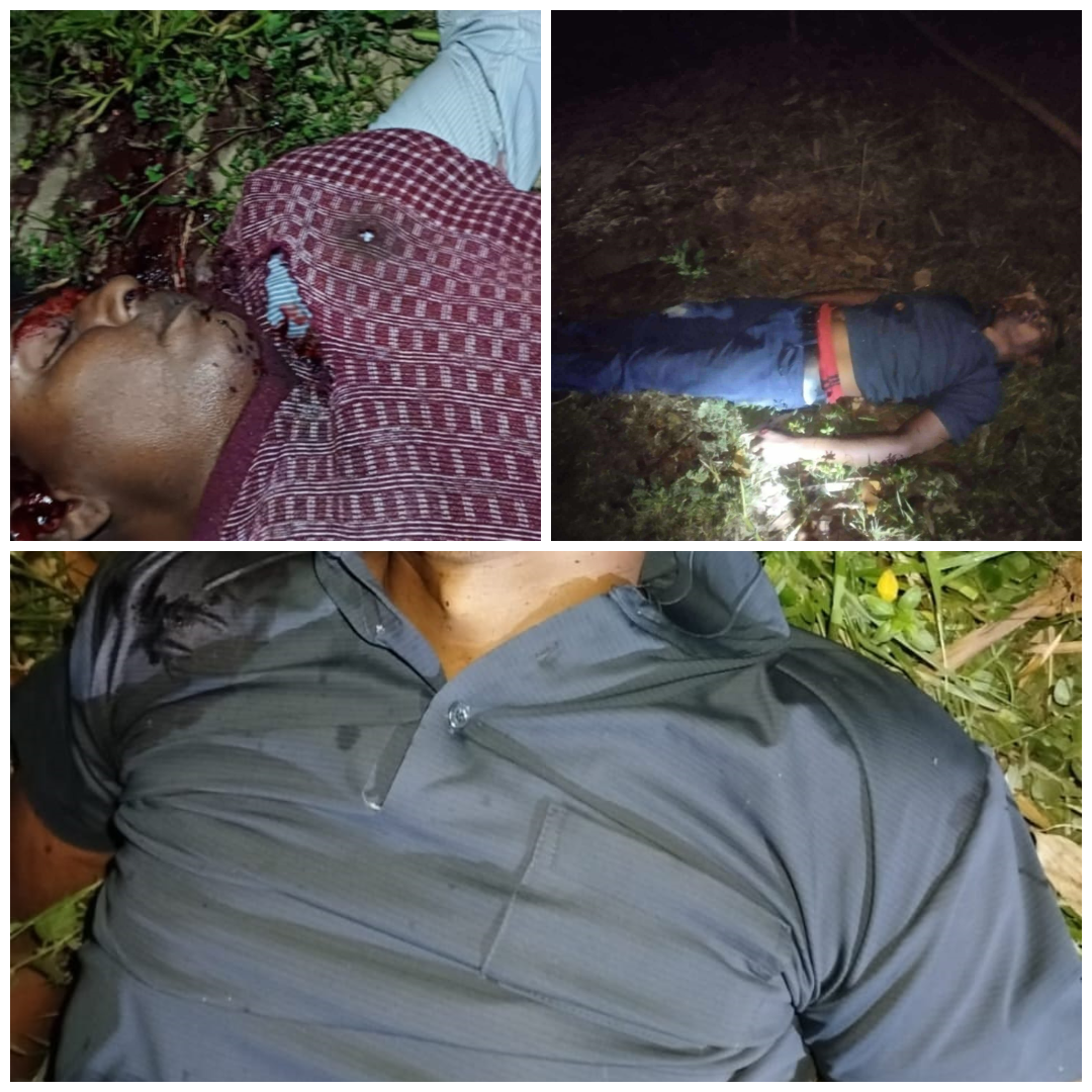 হত্যার নেপথ্যে আলমডাঙ্গার কায়েতপাড়ার বিশাল বাওড়, হত্যার দায় স্বীকার জাসদ গণবাহিনীর