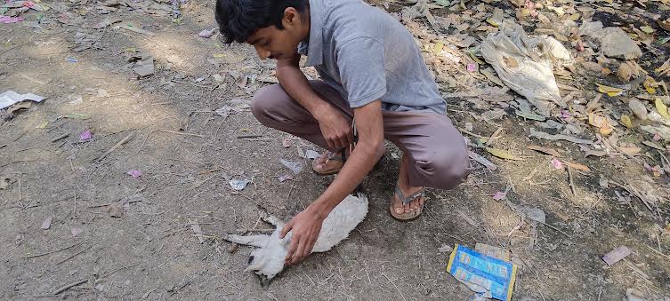 ‘মিশির’ জন্য সাংবাদিক আওয়াল পরিবারে শোক