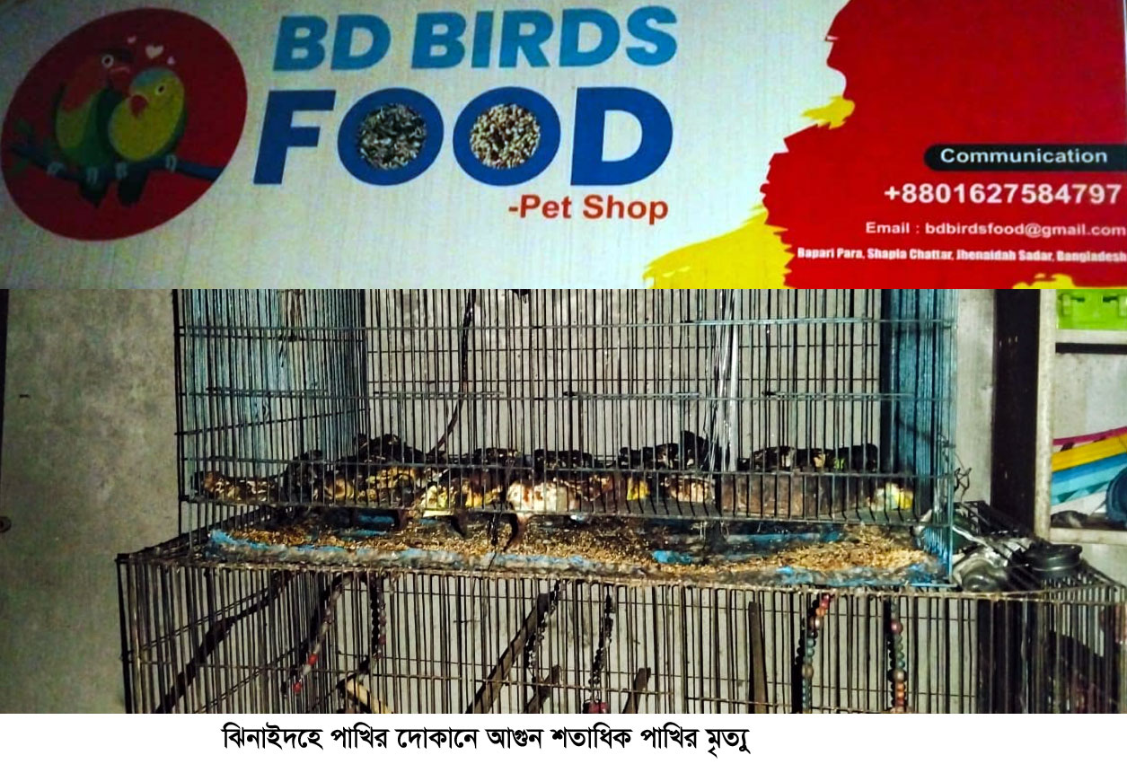 ঝিনাইদহে আগুনে শতাধিক পাখির মৃত্যু