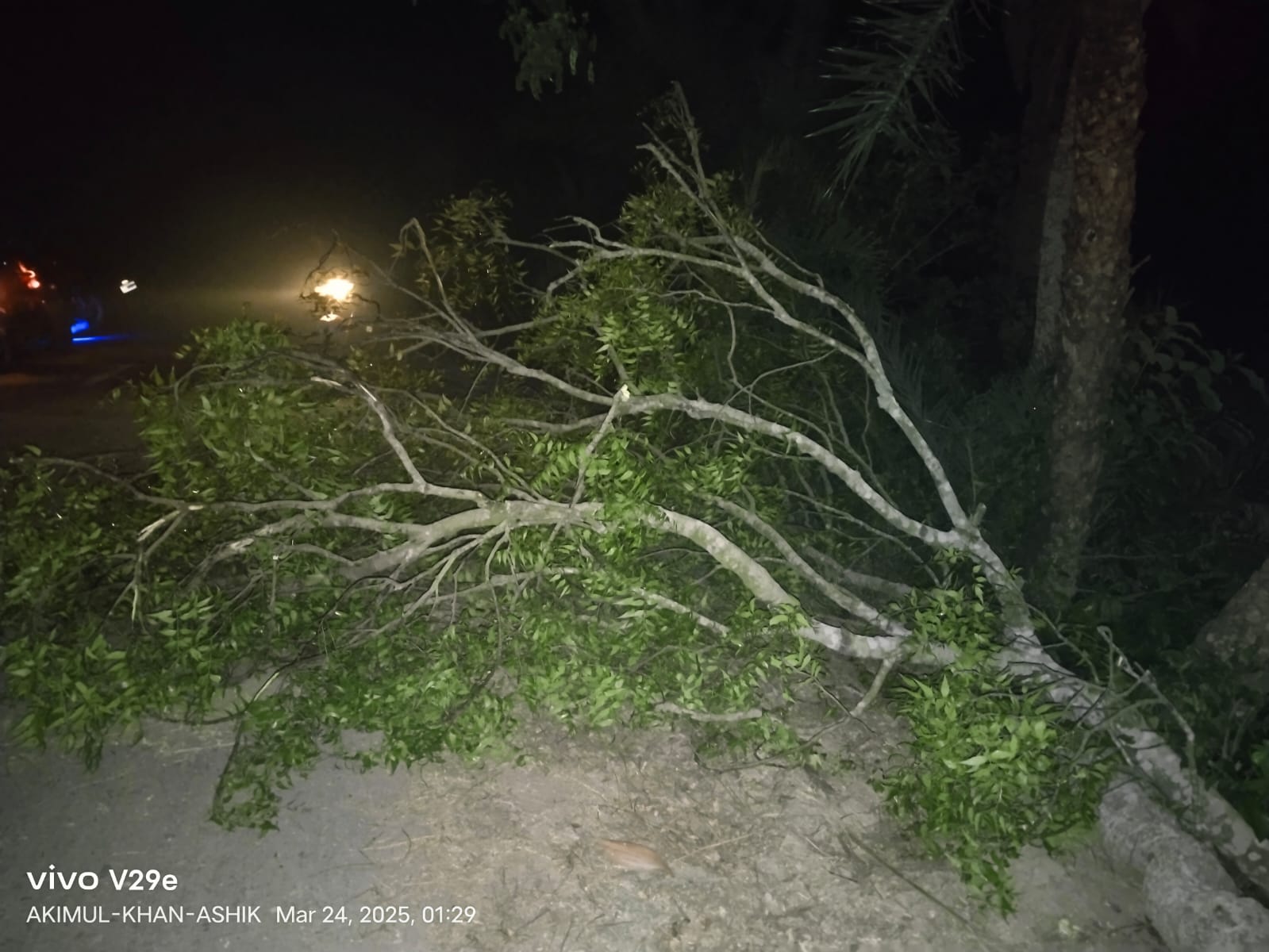 চুয়াডাঙ্গার ভুলটিয়ায় মধ্যরাতে রাস্তায় গাছ ফেলে ছিনতাইয়ের চেষ্টা