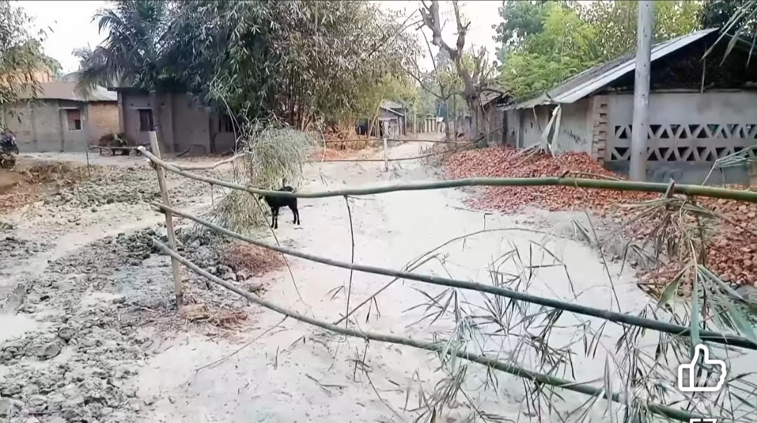 কালীগঞ্জে নির্মাণাধীন রাস্তায় বাঁশের বেড়া