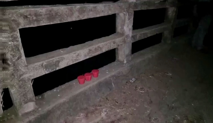 গাংনীতে বোমা সদৃশ তিনটি বস্তু উদ্ধার