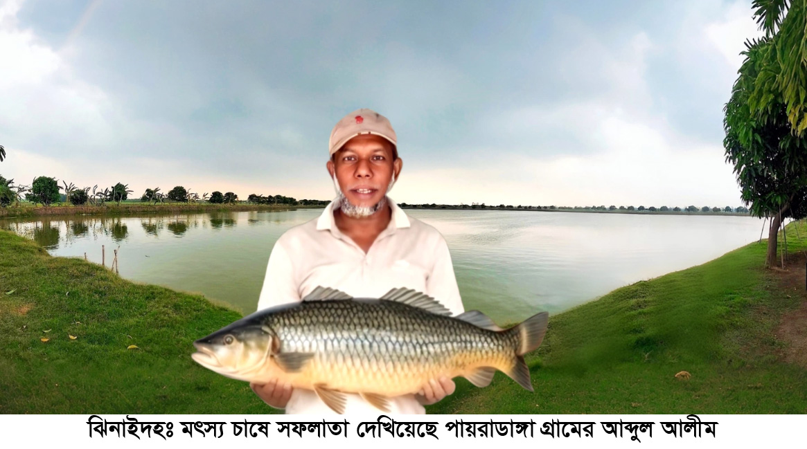 মৎস্য চাষে সফল হরিণাকুণ্ডুর আব্দুল আলিম