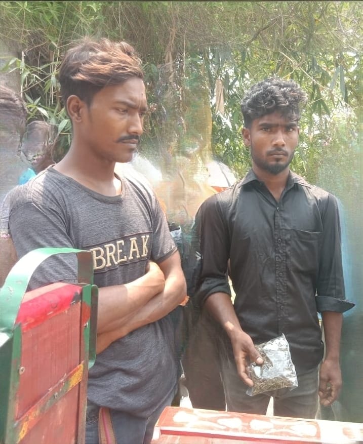 হরিণাকুণ্ডুতে গাঁজাসহ দুই মাদক কারবারি গ্রেপ্তার