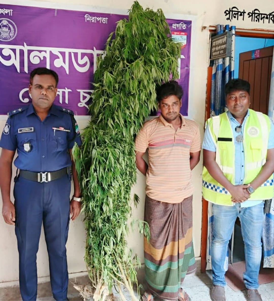 আলমডাঙ্গায় গাঁজা গাছসহ গ্রেপ্তার ১