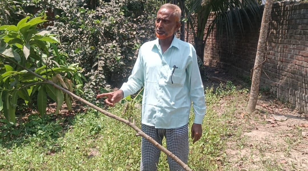 হাসাদাহে ছাগলে গাছ খাওয়ার প্রতিবাদ করায় হামলার অভিযোগ