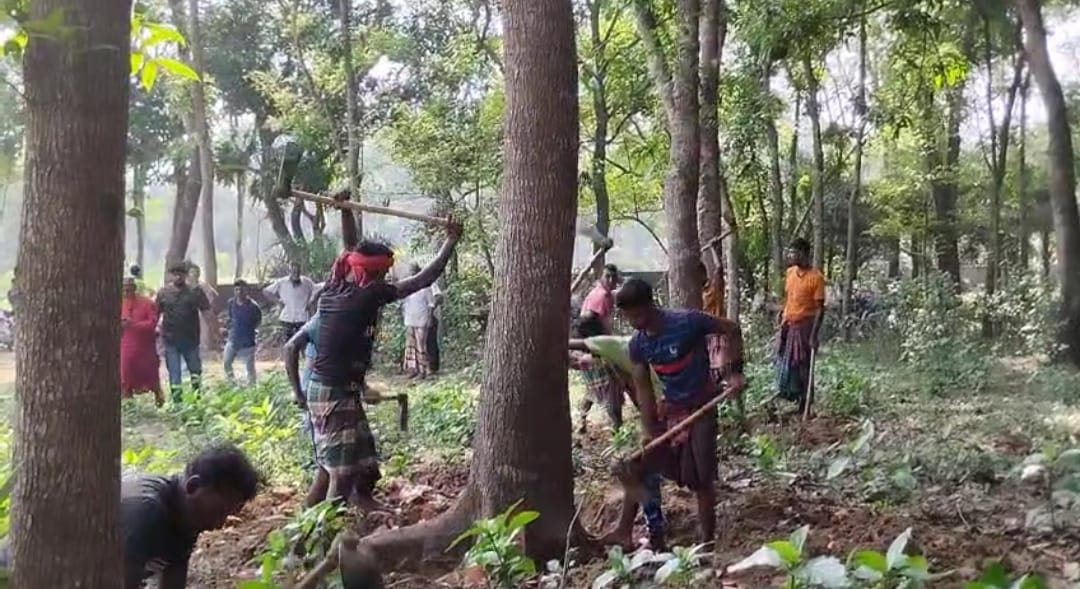 জয়রামপুরে আদালতের নির্দেশ অমান্য করে গাছ কাটার অভিযোগ